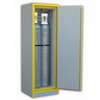 Armoire de sécurité pour bouteilles de gaz, série 7630BG, TRIONYX®