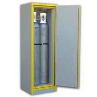Armoire de sécurité pour bouteilles de gaz, série 7630BG, TRIONYX®