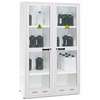 Armoire Multirisque ASVM11, TRIONYX®