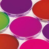 Bilames gélosées, boîte de 10, OXOID®