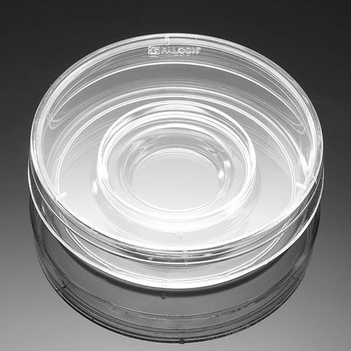 Boîte Petri avec couvercle EASY GRIP, Falcon®