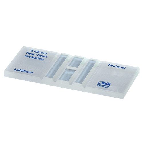 Cellule à numération Neubauer