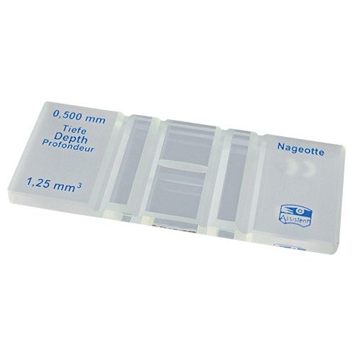 Cellule de numération Nageotte