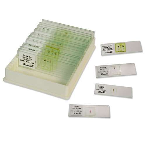 Collection de préparations microscopiques