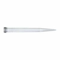 Cône (pointe) standard, SOCOREX®