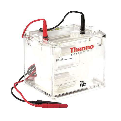 Cuve à électrophorèse verticale double P82 OWL®, THERMO®, 150-300ml de tampon, pour gel 8-10x10cm