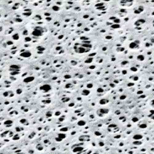 Disques filtrants à membrane en polyéthersulfone, type 15406, SARTORIUS®