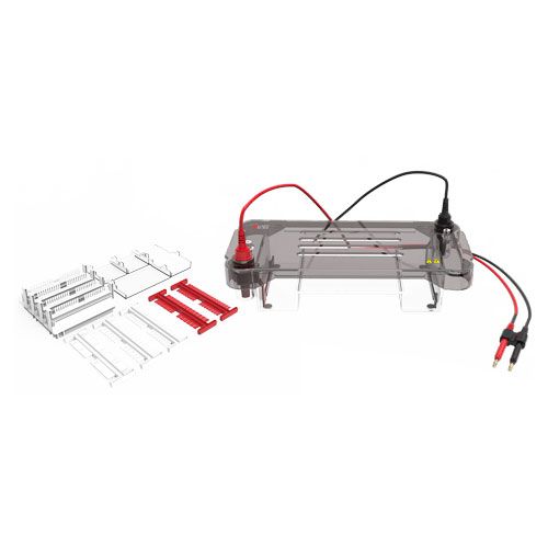DL-SUB02 cuve d'électrophorèse horizontale