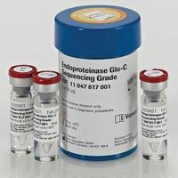 Endoproteinase Glu-C Sequencing Grade, de Staphylococcus aureus V8 (Roche)