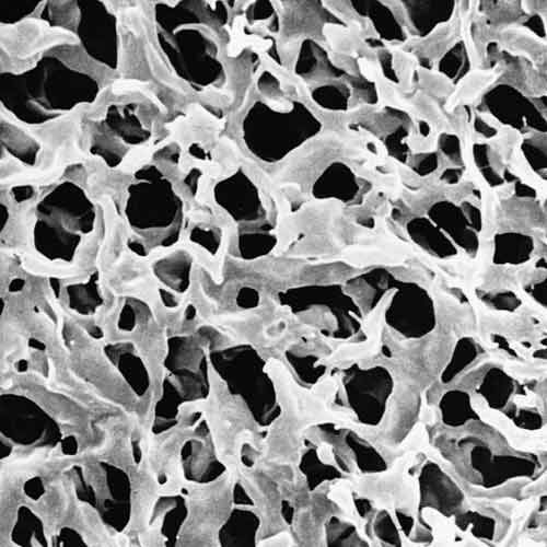 Filtre à membrane Durapore® hydrophile, MILLIPORE®