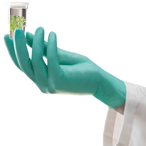 Gants NÉOPRÈNE "Neotouch", ANSELL®, non poudrés, 240mm, usage unique, boîte de 100
