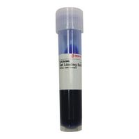 Tampon de chargement de gel pour électrophorèse d'acides nucléiques, 5 ml
