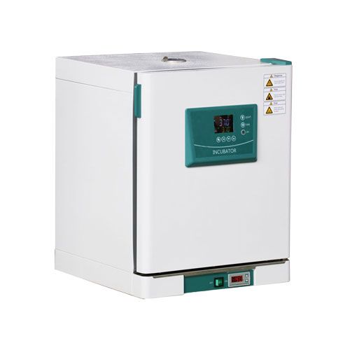 Incubateur de température constante, haute précision, LAB-ONLINE®