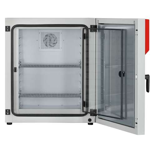 Incubateur KT170 BINDER®