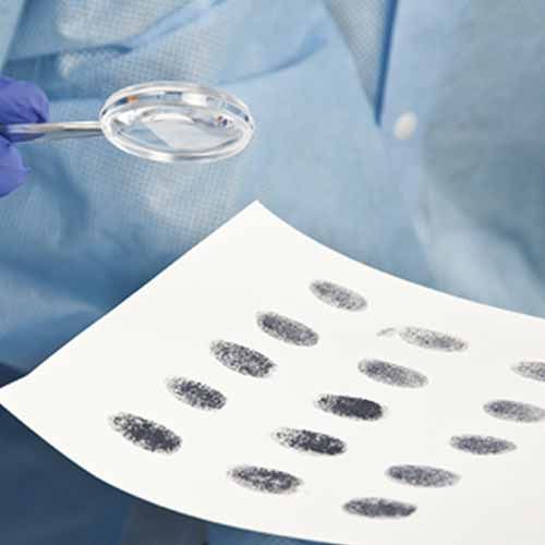 Kit d'expérimentation : A qui appartiennent les empruntes et les traces de sang trouvées sur la scène de crime ?