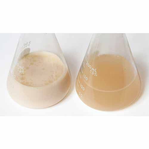 Kit d'expérimentation, biorestauration avec des bactéries oléoréductrices