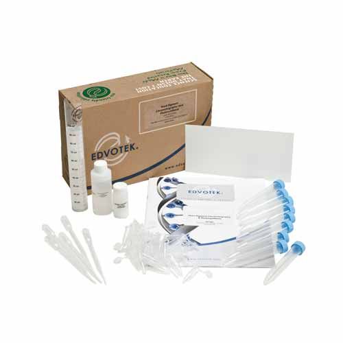 Kit d'expérimentation, chromatographie de pigments de plantes et photosynthèse