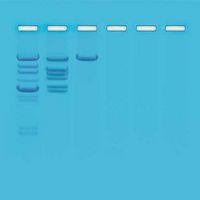 Kit d'expérimentation, clivage de l'ADN Lambda avec une Endonucléase EcoRI : Présentation des Enzymes de Restriction