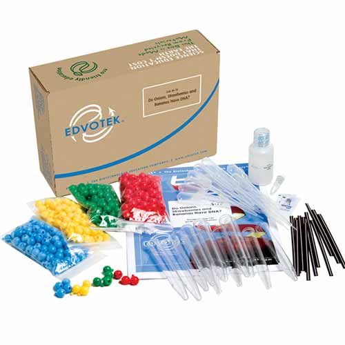 Kit d'expérimentation, Extraction de l'ADN d'Oignons, Fraises ou Bananes