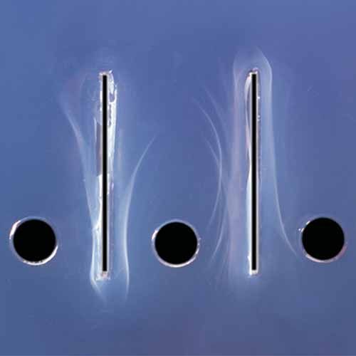 Kit d'expérimentation, immunoélectrophorèse
