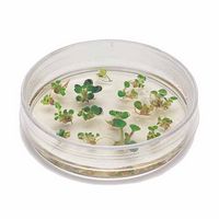 Kit d'expérimentation, introduction à la culture de cellules végétales