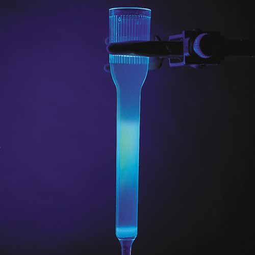 Kit d'expérimentation, purification et détermination de la taille des protéines fluorescentes vertes et bleues