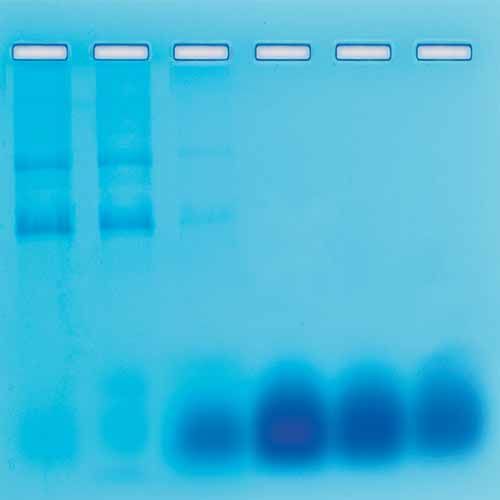 Kit d'expérimentation, séparation de l'ARN et de l'ADN par chromatographie d'exclusion sur gel