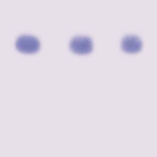 Kit d'expérimentation SIDA kit II : simulation de la détection du VIH par transfert Western Blot (avec agarose)