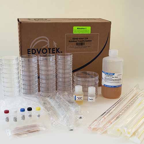 Kit d'expérimentation, transformation d'E. coli Arc-en-ciel, ADN plasmidique et sélection positive