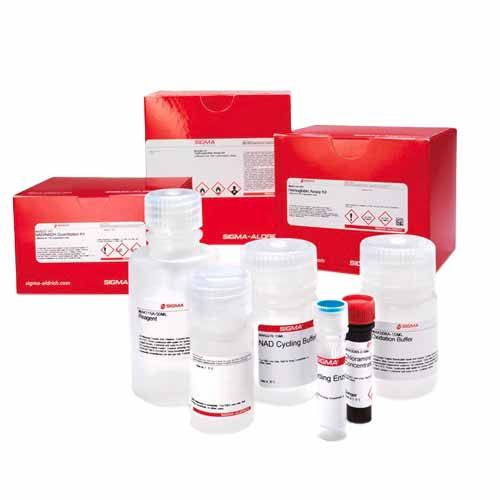 Kit de dosage de la créatinine pour colorimétriques ou fluorométriques, SIGMA®