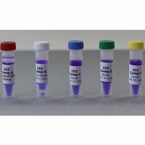 Kit de réapprovisionnement, 24 gels (échantillons d'ADN uniquement) pour kit 103
