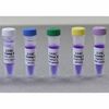 Kit de réapprovisionnement, 24 gels (échantillons d'ADN uniquement) pour kit 116