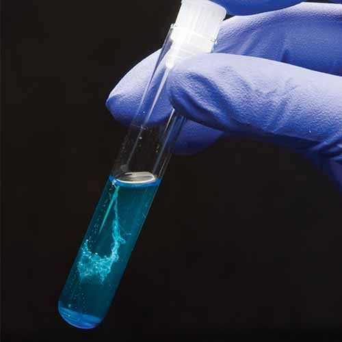 Kit "Genes in a Tube™" : extraction et précipitation de l'ADN