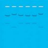 Kit Ready-to-Load™, identification génétique par l'ADN de type I : ID de l'ADN par les schémas de fragmentation définis par la restriction