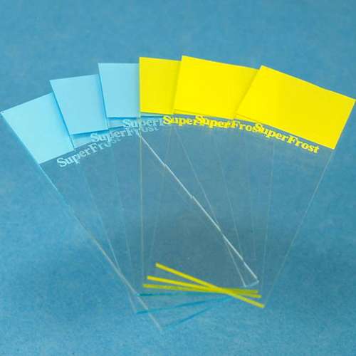 Lames porte-objets SuperFrost®, bords bruts