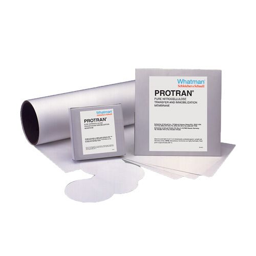 Les filtres membranes de transfert, Protran BA 83, en nitrate de cellulose, WHATMAN®