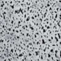 Membrane acétate de cellulose (CA)