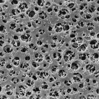 Membrane filtrante en acétate de cellulose, SARTORIUS®