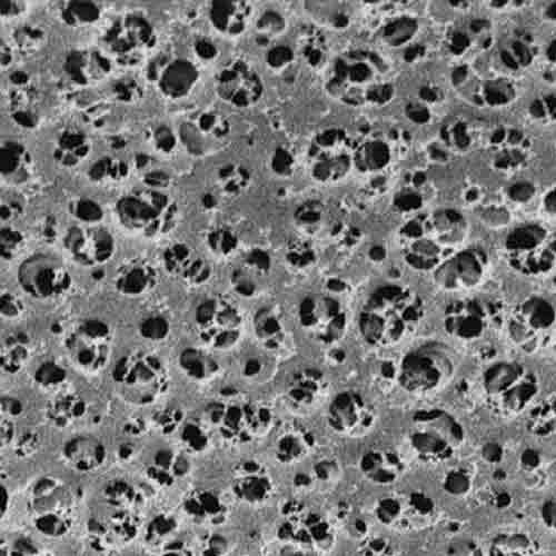 Membrane filtrante en acétate de cellulose, SARTORIUS®