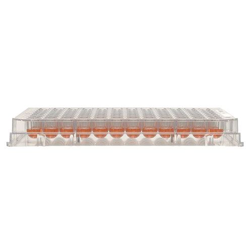 Microplaques en PS avec couvercle, pour culture cellulaire, THERMO®