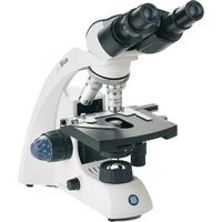 Microscope optique - B+ series - Euromex - pour la recherche / droit /  binoculaire