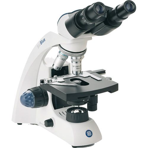 Microscope binoculaire BioBlue, EUROMEX® - Materiel pour Laboratoire