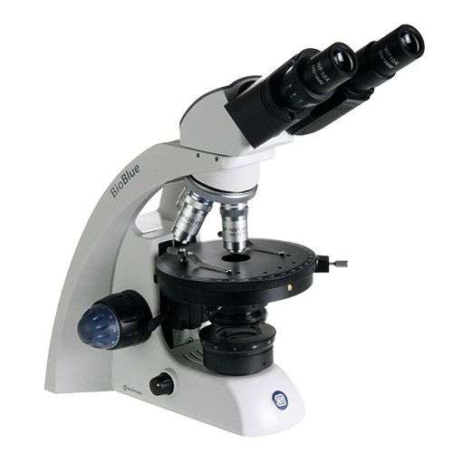 Microscope binoculaire polarisant BioBlue Digital,EUROMEX®