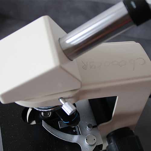 Microscope PARALUX® mono, halogène 3