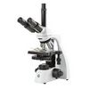 Microscope trinoculaire à contraste de phase, bScope, EUROMEX®, EPLPHI