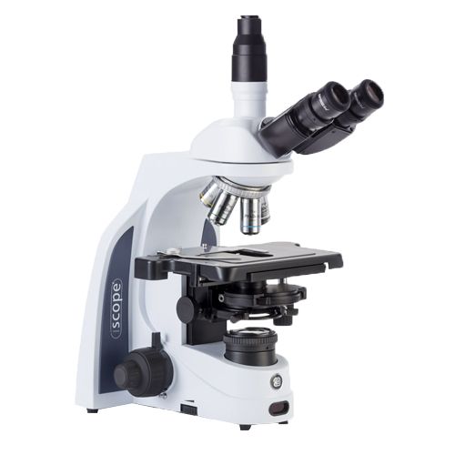 Microscope trinoculaire à contraste de phase, iScope, EUROMEX®