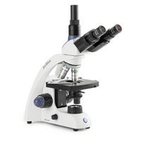 Microscope trinoculaire BioBlue polarisant, EUROMEX®