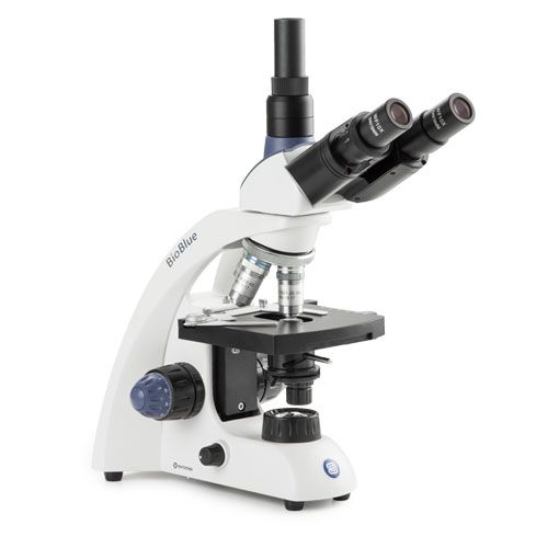 Microscope trinoculaire BioBlue polarisant, EUROMEX®