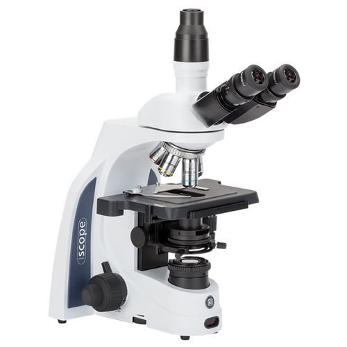 Microscope trinoculaire iScope, EUROMEX®, EPL