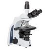 Microscope trinoculaire iScope, EUROMEX®, PLI